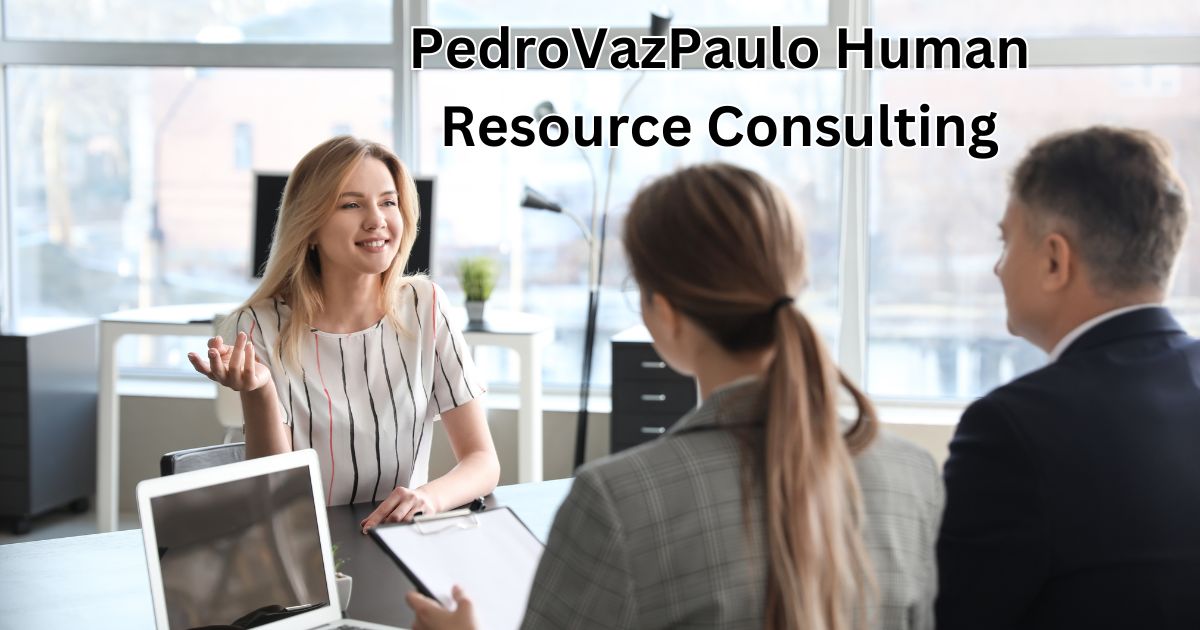 How to Get the Most Out of pedrovazpaulo human resource consulting