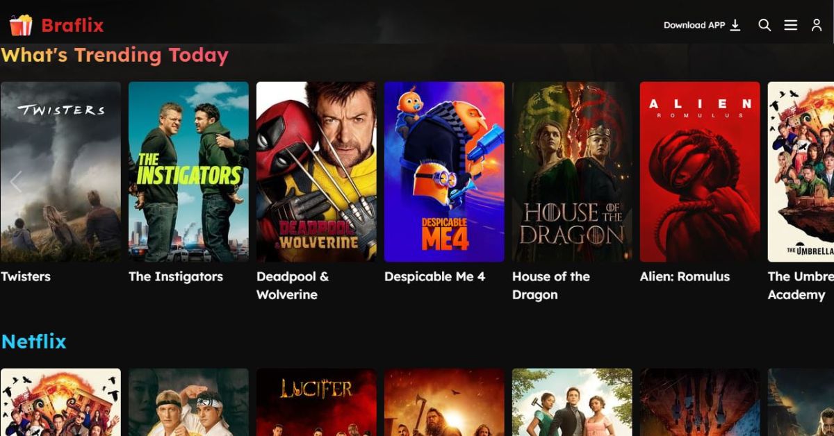 The Ultimate Guide to Braflix