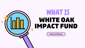 How to Make the Most of the White Oak Impact Fund